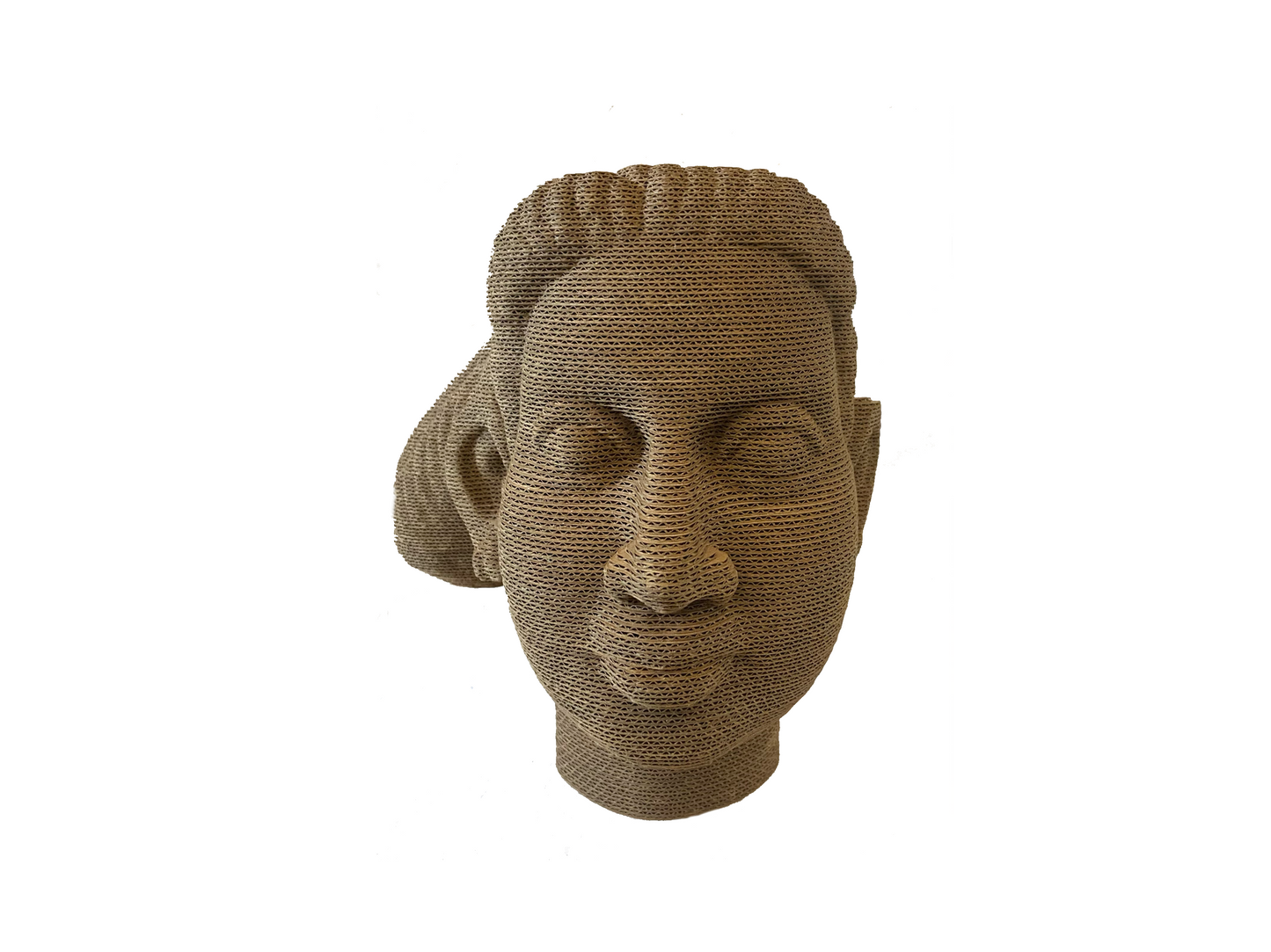 3D Corrugated Leady Head