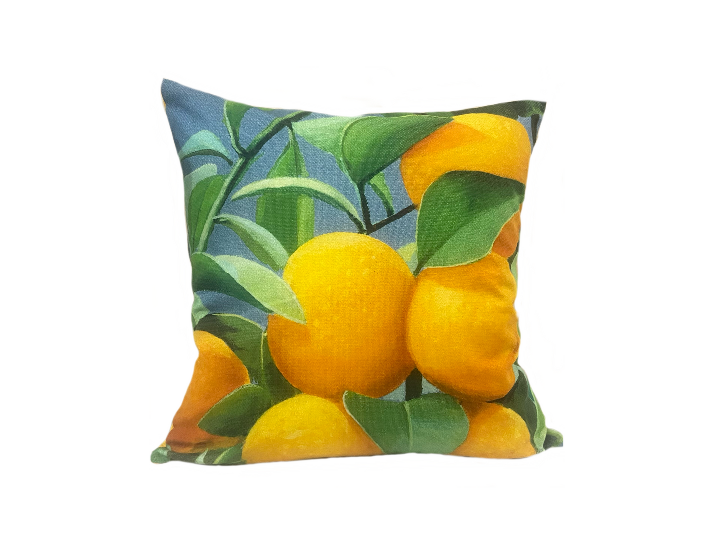 Fabric - Cushion Cover
