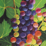 Grape Plant Cushion Cover M