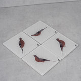 Renuka Bird 5 Coaster(1)