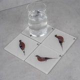 Renuka Bird 5 Coaster(1)