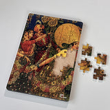 Acrylic Jigsaw Puzzle 2