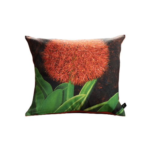 Cushion featuring Martin O.C.'s Mayflower