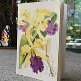 Cattleya Dowiana Notebook