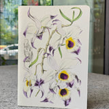 Dendrobium Falconeri Notebook