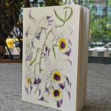 Dendrobium Falconeri Notebook