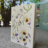 Dendrobium Falconeri Notebook