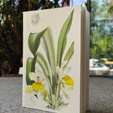 Huntleya Cernia Notebook