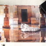 Karen Knorr – Placemats (Set of 6)