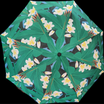 Frangipani Umbrella S