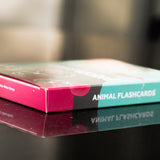 Wild World Flashcards