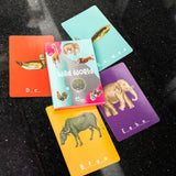 Wild World Flashcards