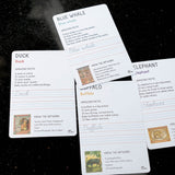 Wild World Flashcards
