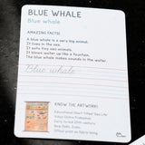Wild World Flashcards