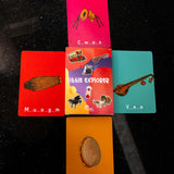 Little Explorer Flashcards