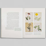 Paper Gardens - The Lives of Botanical Illustrations in India