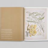 Paper Gardens - The Lives of Botanical Illustrations in India