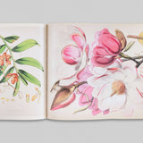 Paper Gardens - The Lives of Botanical Illustrations in India