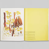 Paper Gardens - The Lives of Botanical Illustrations in India