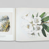 Paper Gardens - The Lives of Botanical Illustrations in India