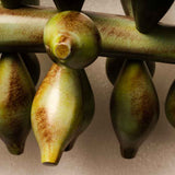 Green Banana Bunch