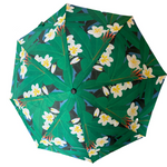 Frangipani Umbrella L