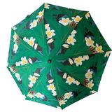 Frangipani Umbrella L