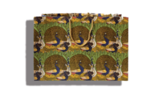 Peacock Gift Bag