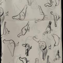 Flock Of Pigeons Silk Stole S