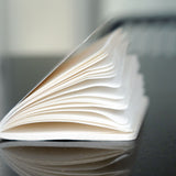 Mughal Botanicals 15 Notebook